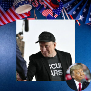 Elon Musk Hat3